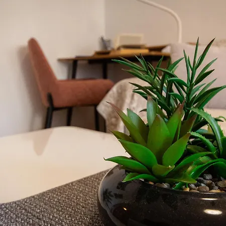Large Stylish Ankica,free Public Parking Apartment