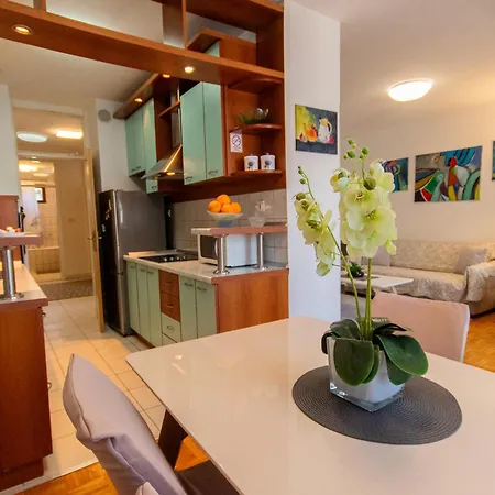 Apartment Large Stylish Ankica,free Public Parking Split