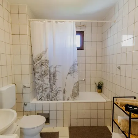Apartment Large Stylish Ankica,free Public Parking